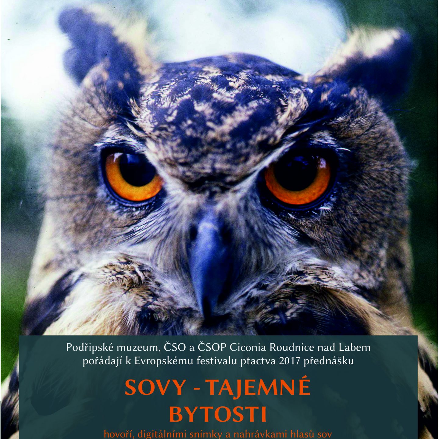 Sovy – tajemné bytosti